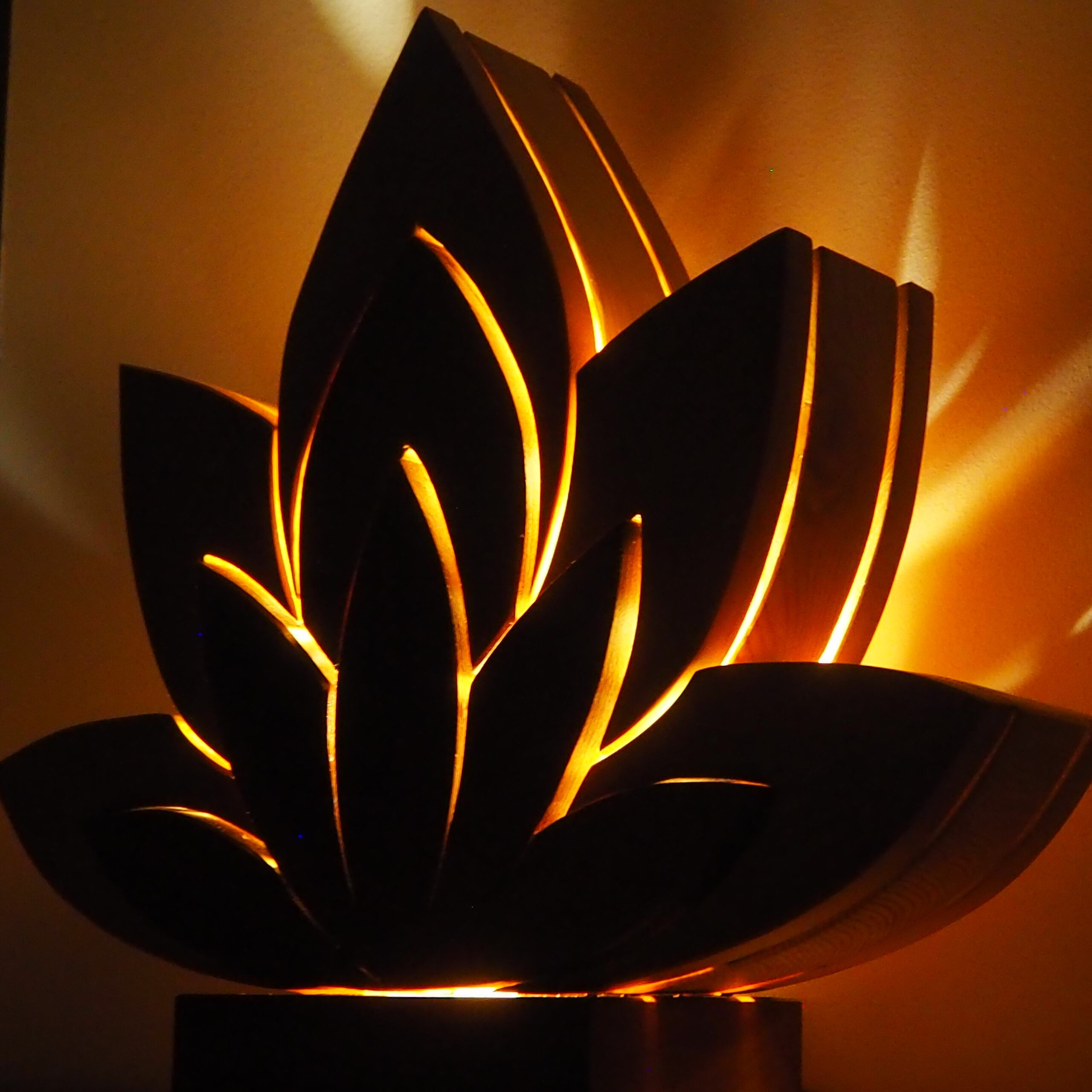 Lotus nuit